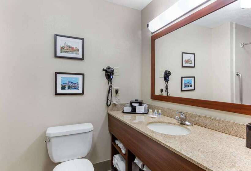 فندق Comfort Suites