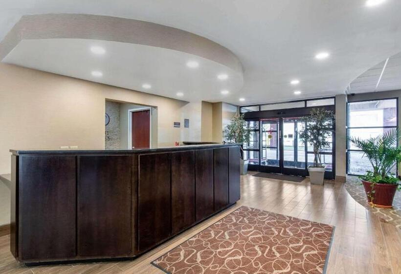 فندق Comfort Suites