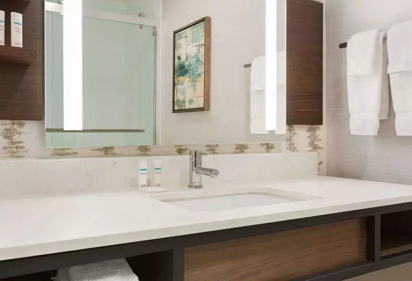 Hotel Hilton Garden Inn Houston Energy Corridor