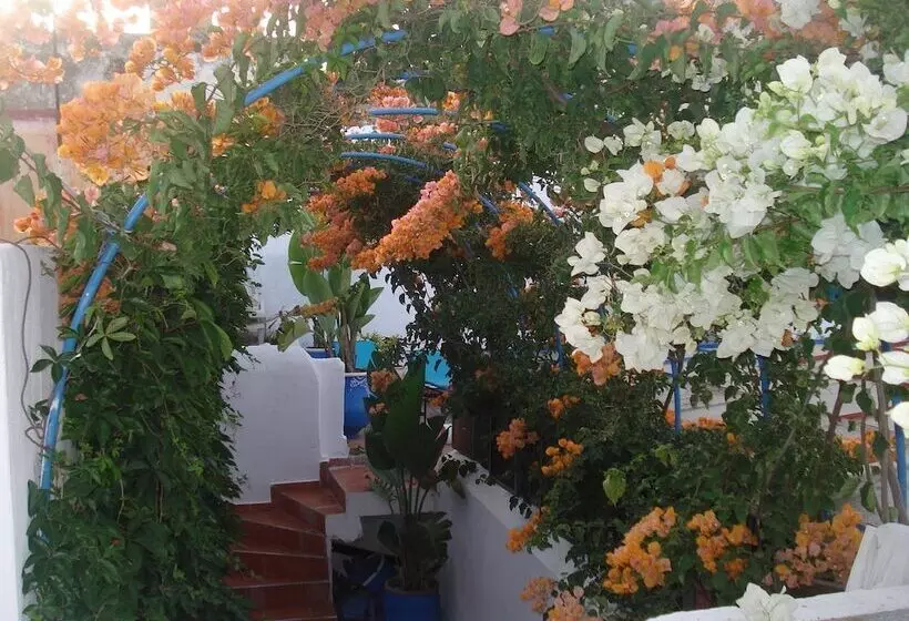 هتل Riad Marlinea