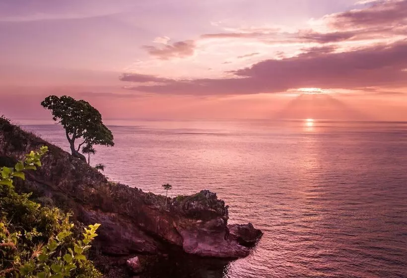 Hotel The Houben   Adult Only