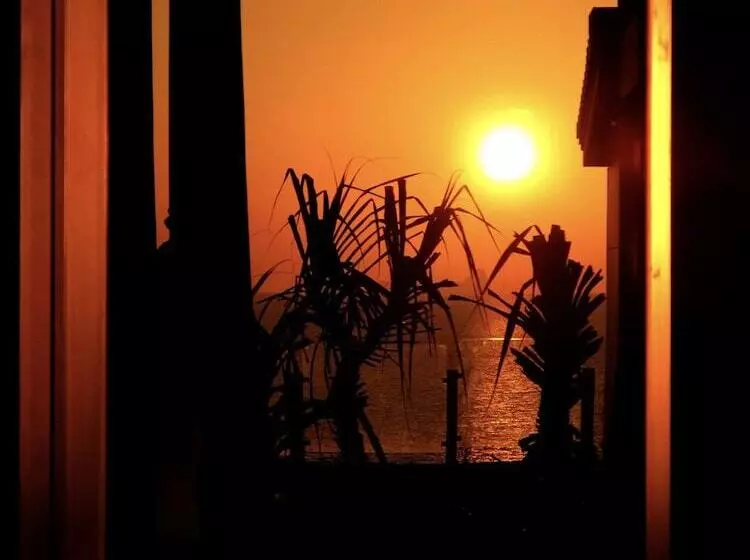 Hotel The Houben   Adult Only