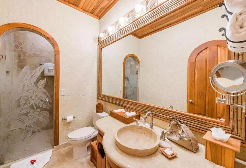 Отель The Springs Resort & Spa At Arenal