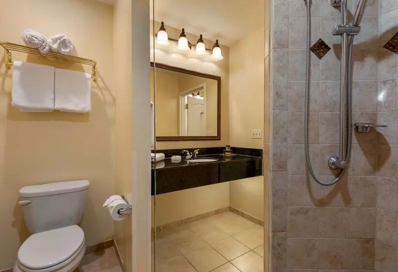 酒店 Best Western Plus Vineyard Inn And Suites