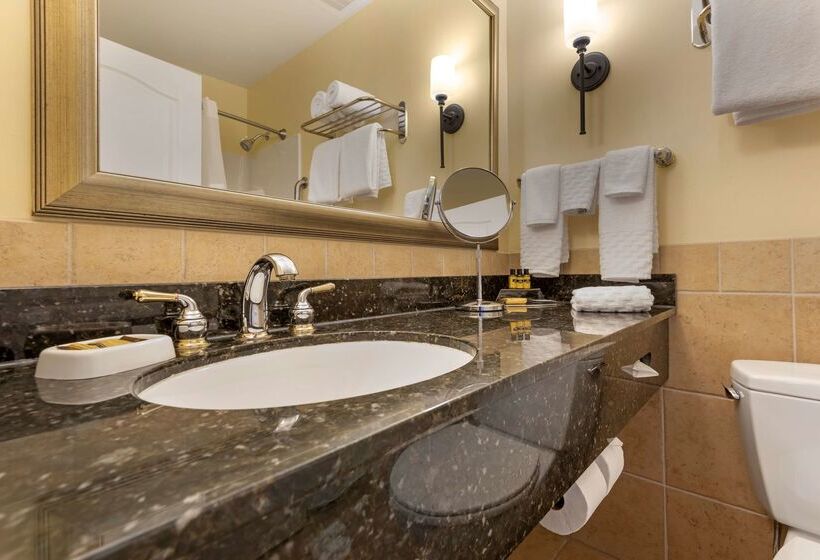 فندق Best Western Plus Vineyard Inn And Suites