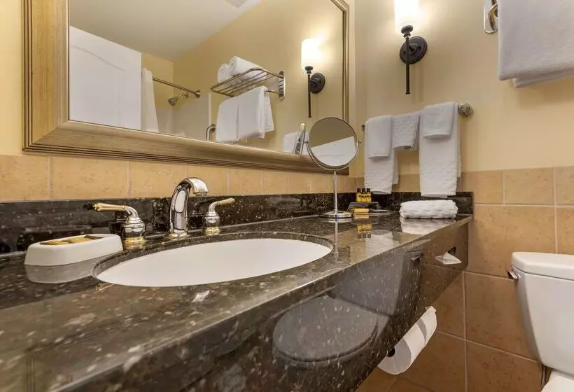 酒店 Best Western Plus Vineyard Inn And Suites