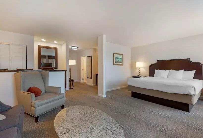 酒店 Best Western Plus Vineyard Inn And Suites