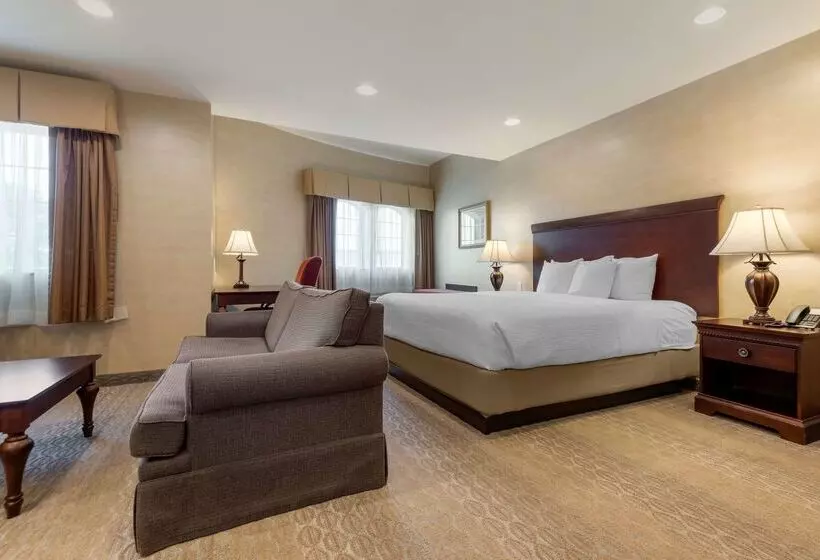 酒店 Best Western Plus Vineyard Inn And Suites