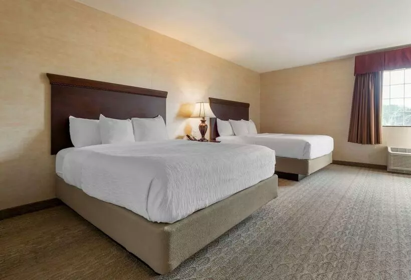 酒店 Best Western Plus Vineyard Inn And Suites