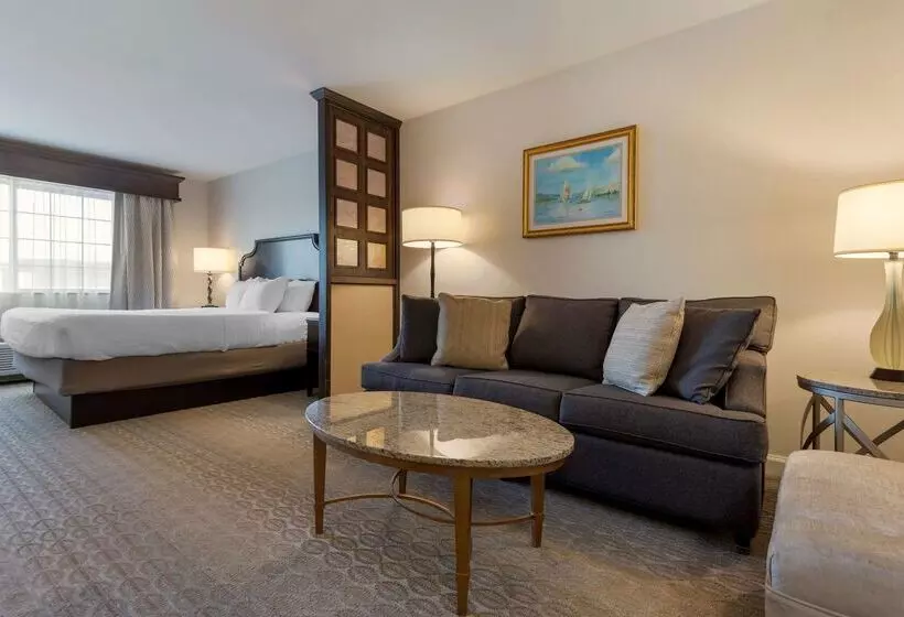 酒店 Best Western Plus Vineyard Inn And Suites