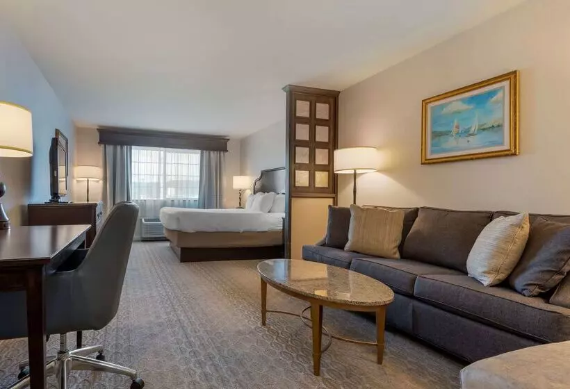 酒店 Best Western Plus Vineyard Inn And Suites