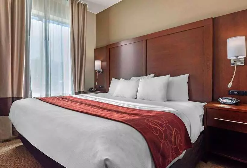 Szálloda Comfort Suites Cincinnati Airport