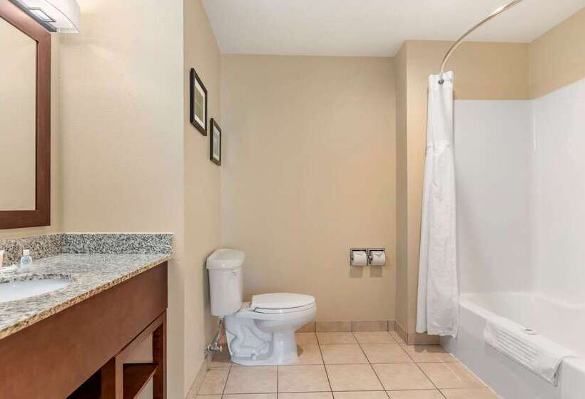 فندق Comfort Suites Grand Rapids North