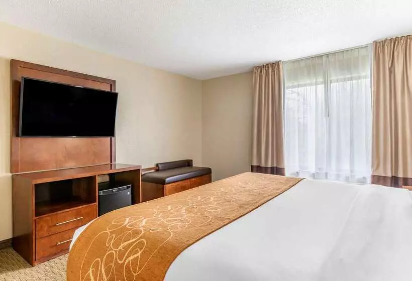 فندق Comfort Suites Grand Rapids North
