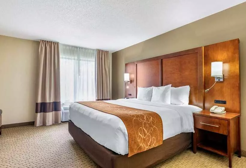 فندق Comfort Suites Grand Rapids North