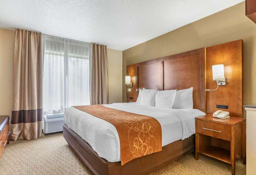 فندق Comfort Suites Grand Rapids North