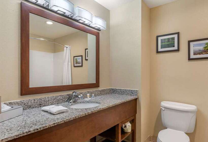 فندق Comfort Suites Grand Rapids North