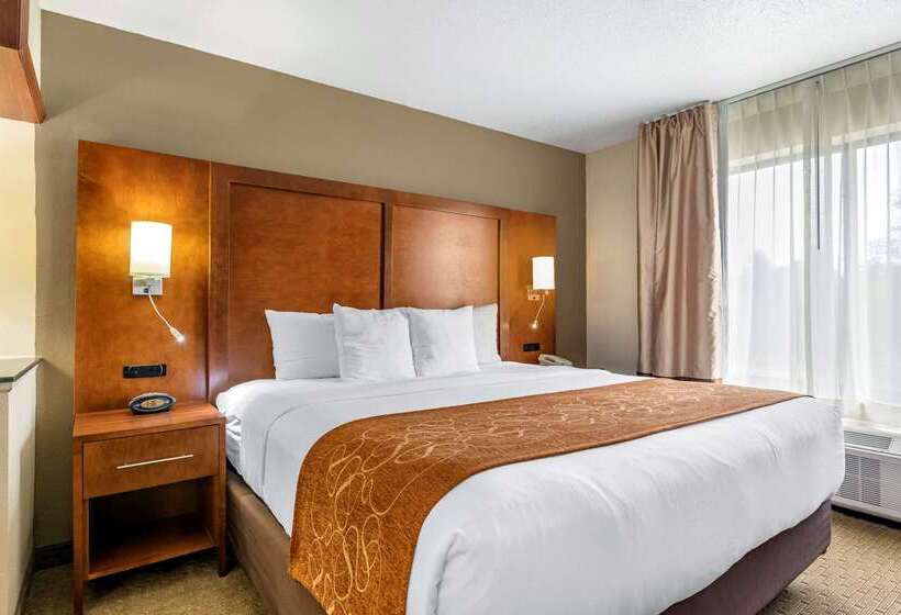 فندق Comfort Suites Grand Rapids North