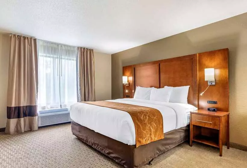 فندق Comfort Suites Grand Rapids North