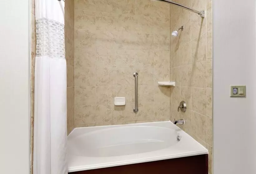 هتل Hampton Inn & Suites Abilene I 20