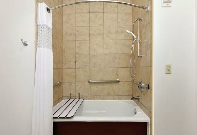 هتل Hampton Inn & Suites Abilene I 20