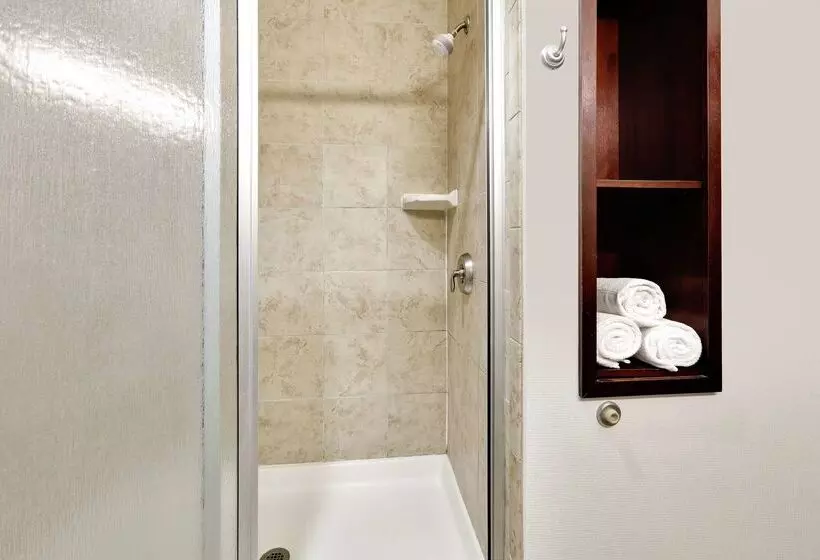 هتل Hampton Inn & Suites Abilene I 20