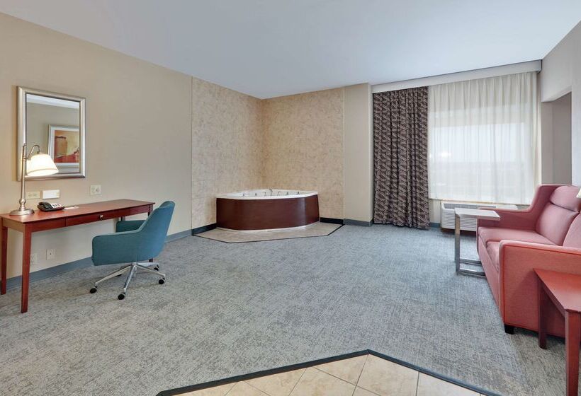 Hotelli Hampton Inn & Suites Abilene I 20