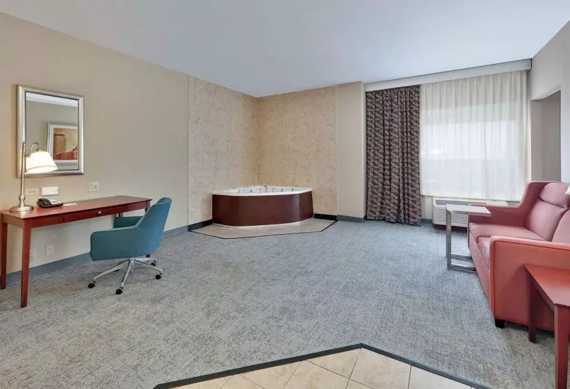 هتل Hampton Inn & Suites Abilene I 20