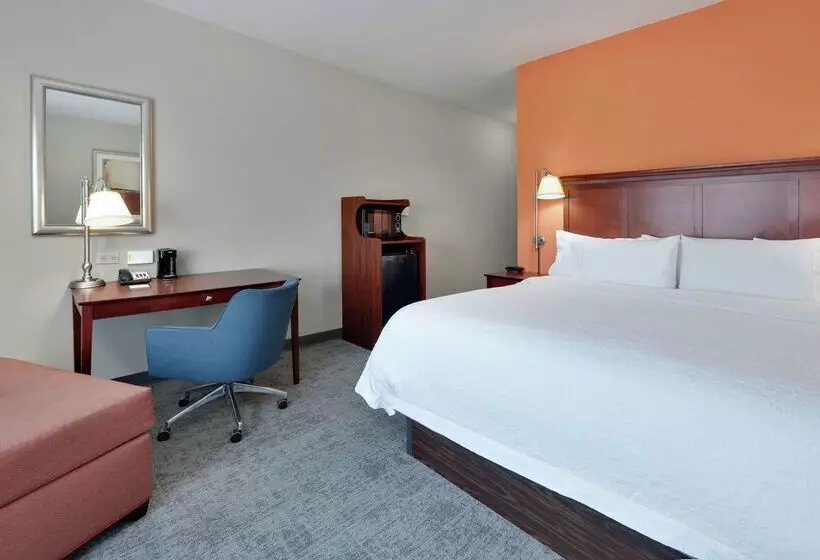 هتل Hampton Inn & Suites Abilene I 20