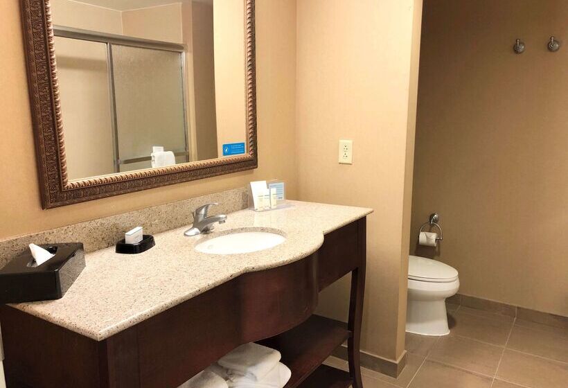 בית מלון כפרי Hampton Inn & Suites Norfolk Airport