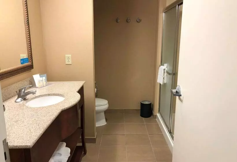 هتل Hampton Inn & Suites Norfolk Airport