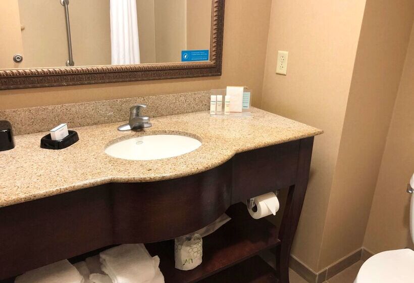 בית מלון כפרי Hampton Inn & Suites Norfolk Airport