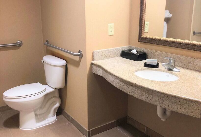 בית מלון כפרי Hampton Inn & Suites Norfolk Airport