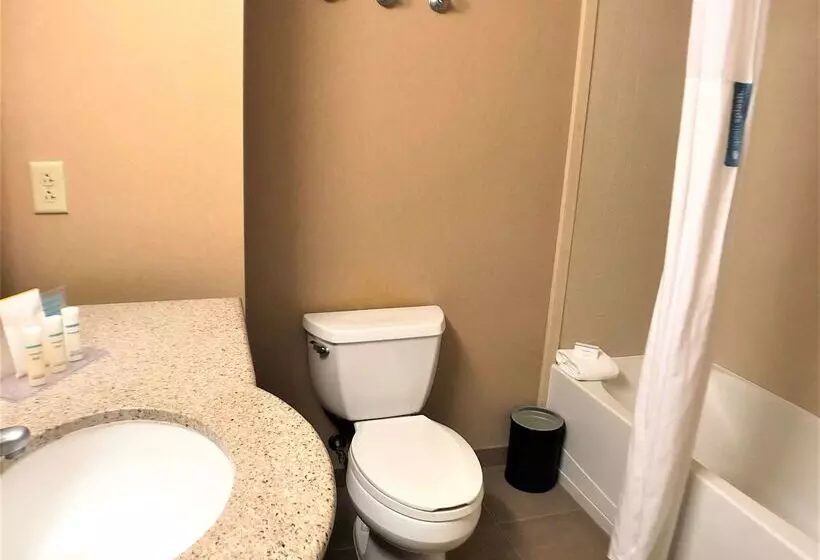 هتل Hampton Inn & Suites Norfolk Airport