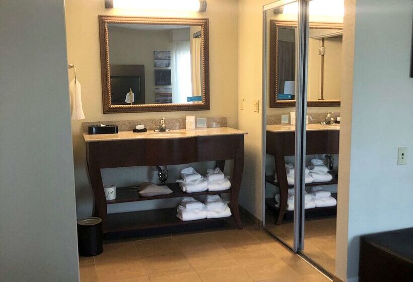 בית מלון כפרי Hampton Inn & Suites Norfolk Airport