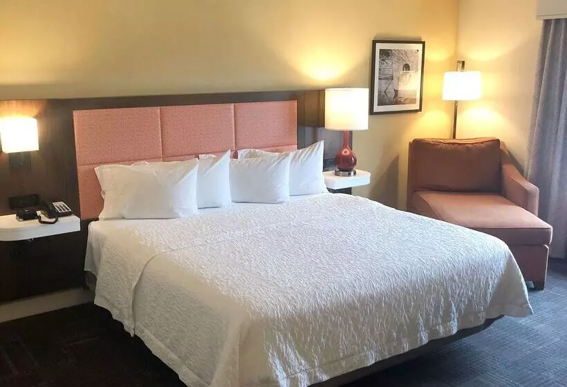 هتل Hampton Inn & Suites Norfolk Airport