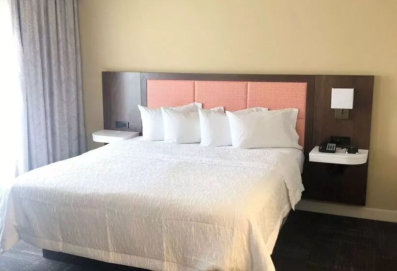 هتل Hampton Inn & Suites Norfolk Airport
