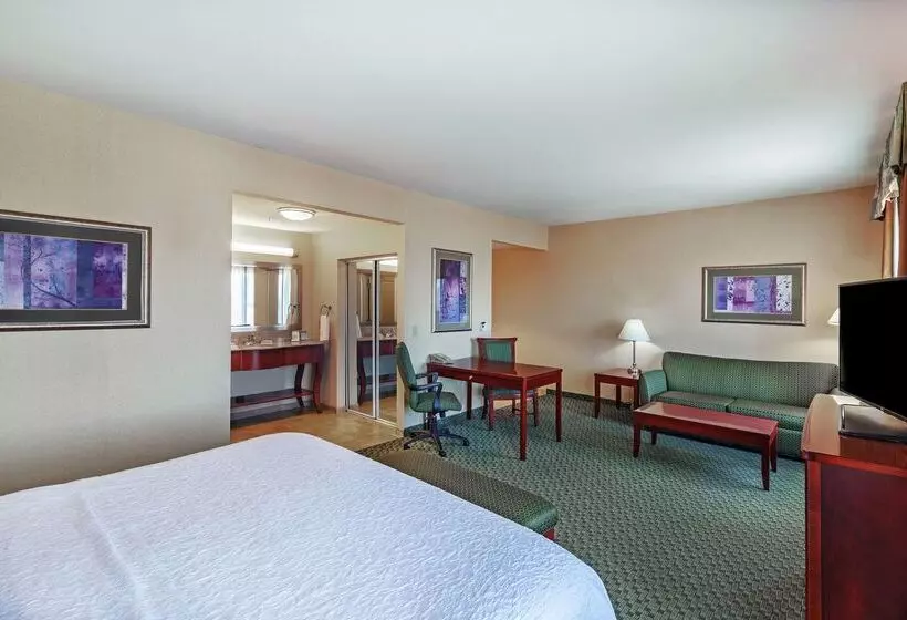 בית מלון כפרי Hampton Inn & Suites El Paso West