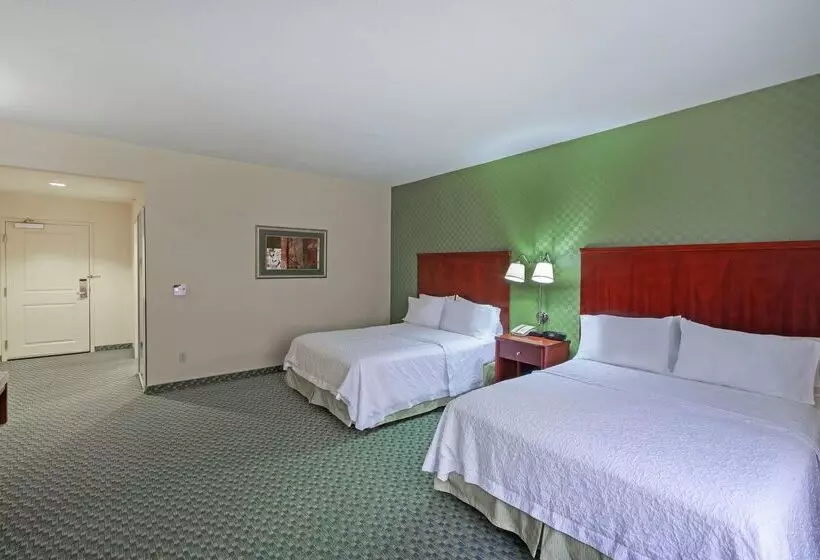 בית מלון כפרי Hampton Inn & Suites El Paso West