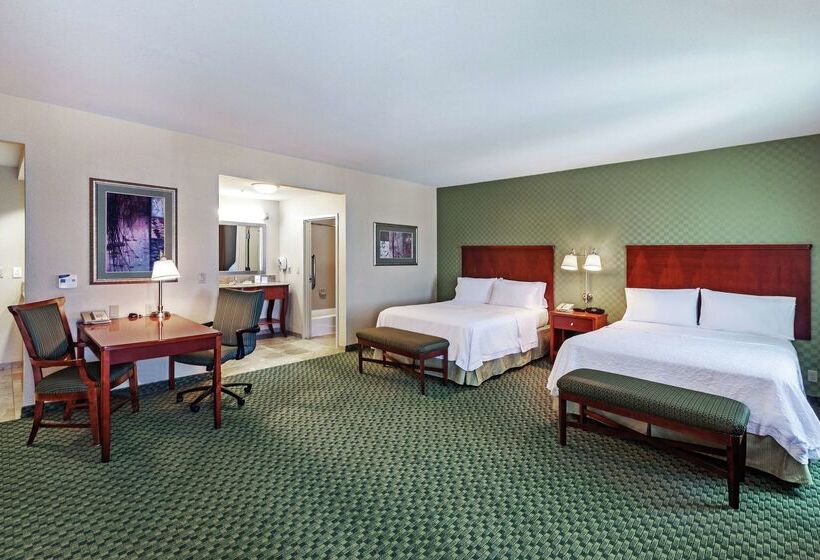 فندق Hampton Inn & Suites El Paso West