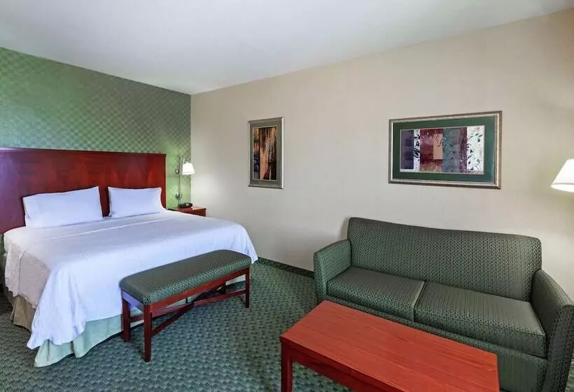 בית מלון כפרי Hampton Inn & Suites El Paso West