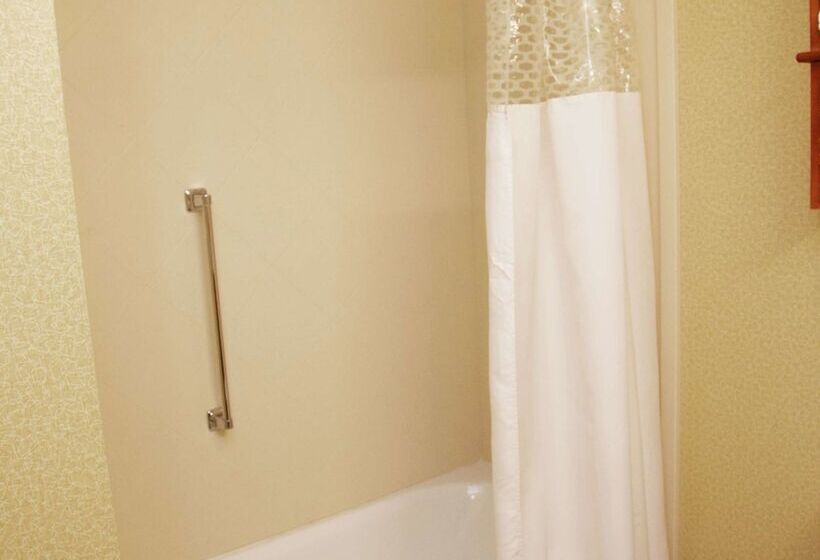 فندق Hampton Inn & Suites Molinequad City Int L Aprt