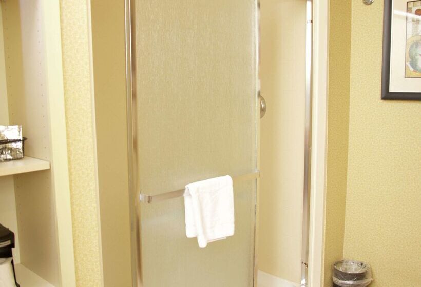 فندق Hampton Inn & Suites Molinequad City Int L Aprt