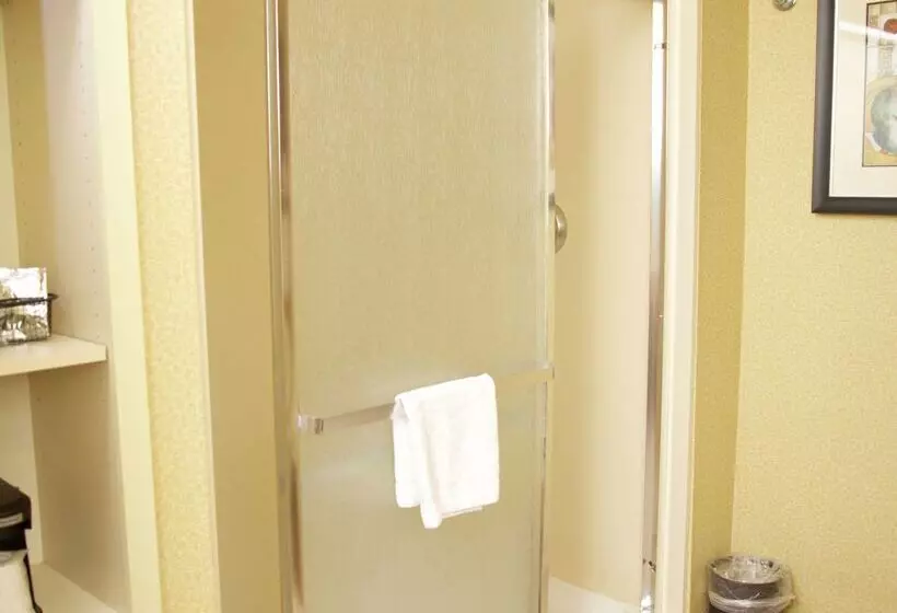 هتل Hampton Inn & Suites Molinequad City Int L Aprt