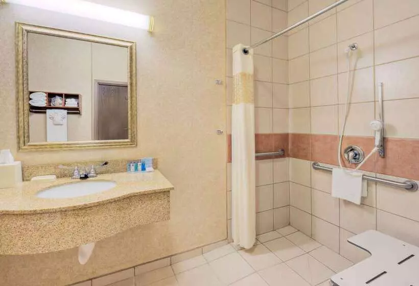 هتل Hampton Inn & Suites Palmdale