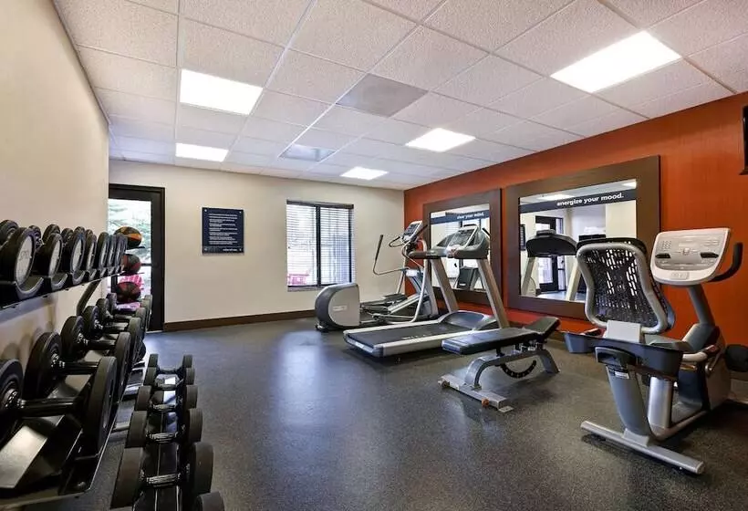 Отель Hampton Inn & Suites Tahoetruckee