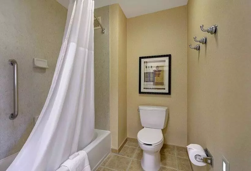 Отель Hampton Inn & Suites Tahoetruckee