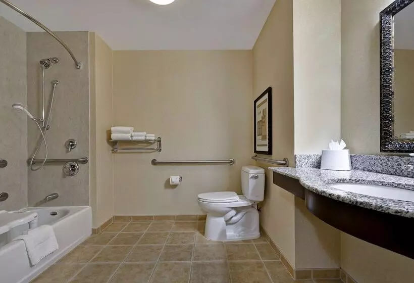 Отель Hampton Inn & Suites Tahoetruckee