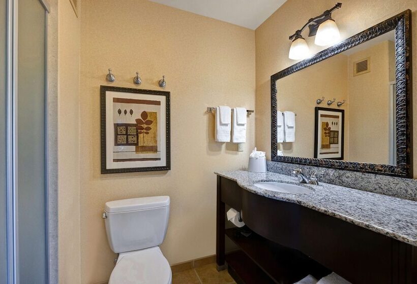 호텔 Hampton Inn & Suites Tahoetruckee