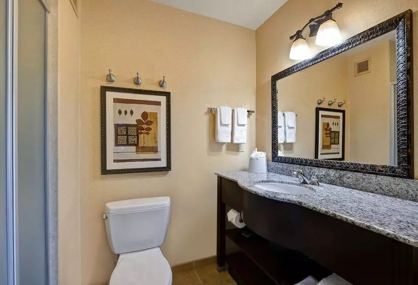 Отель Hampton Inn & Suites Tahoetruckee